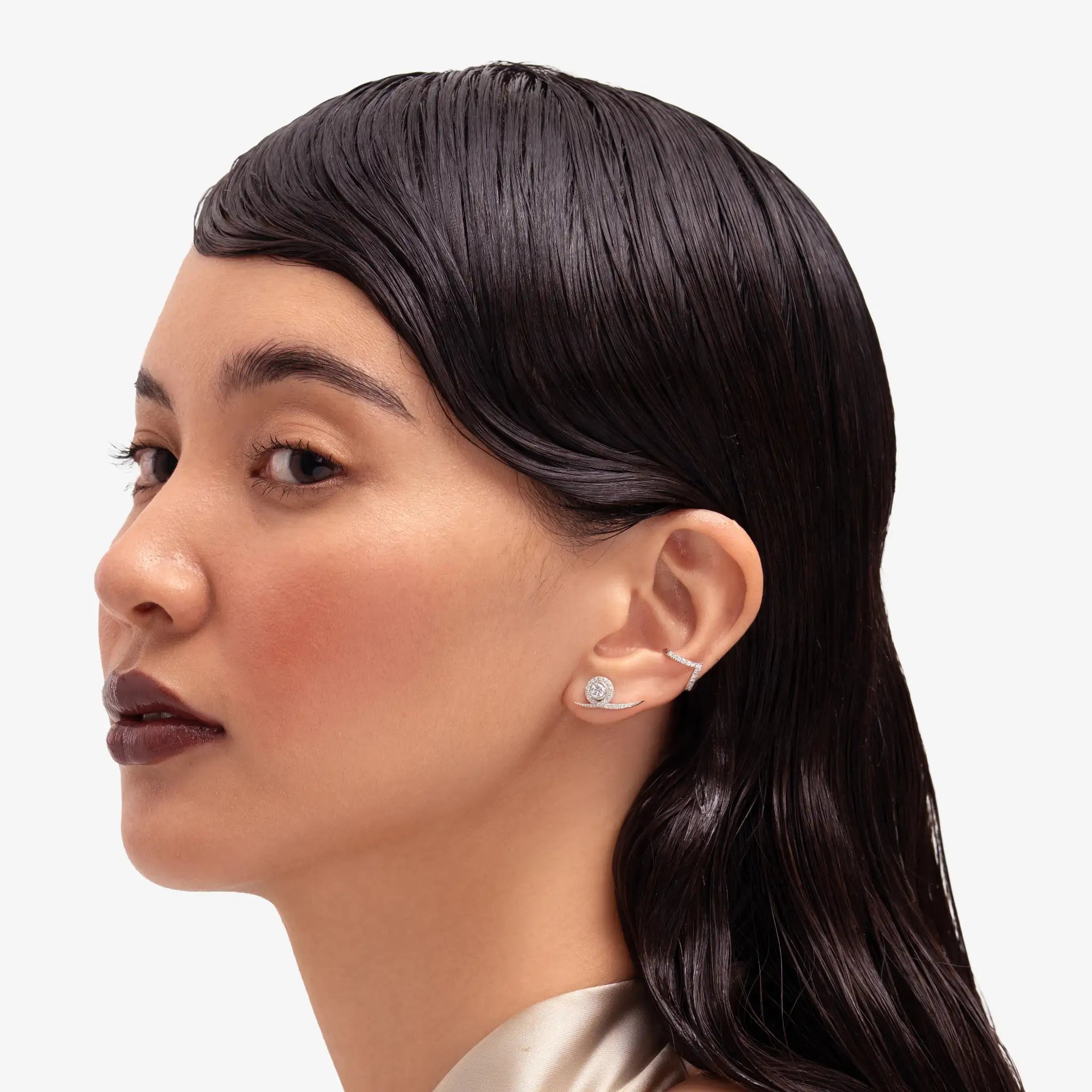 Snail Diamond Climber