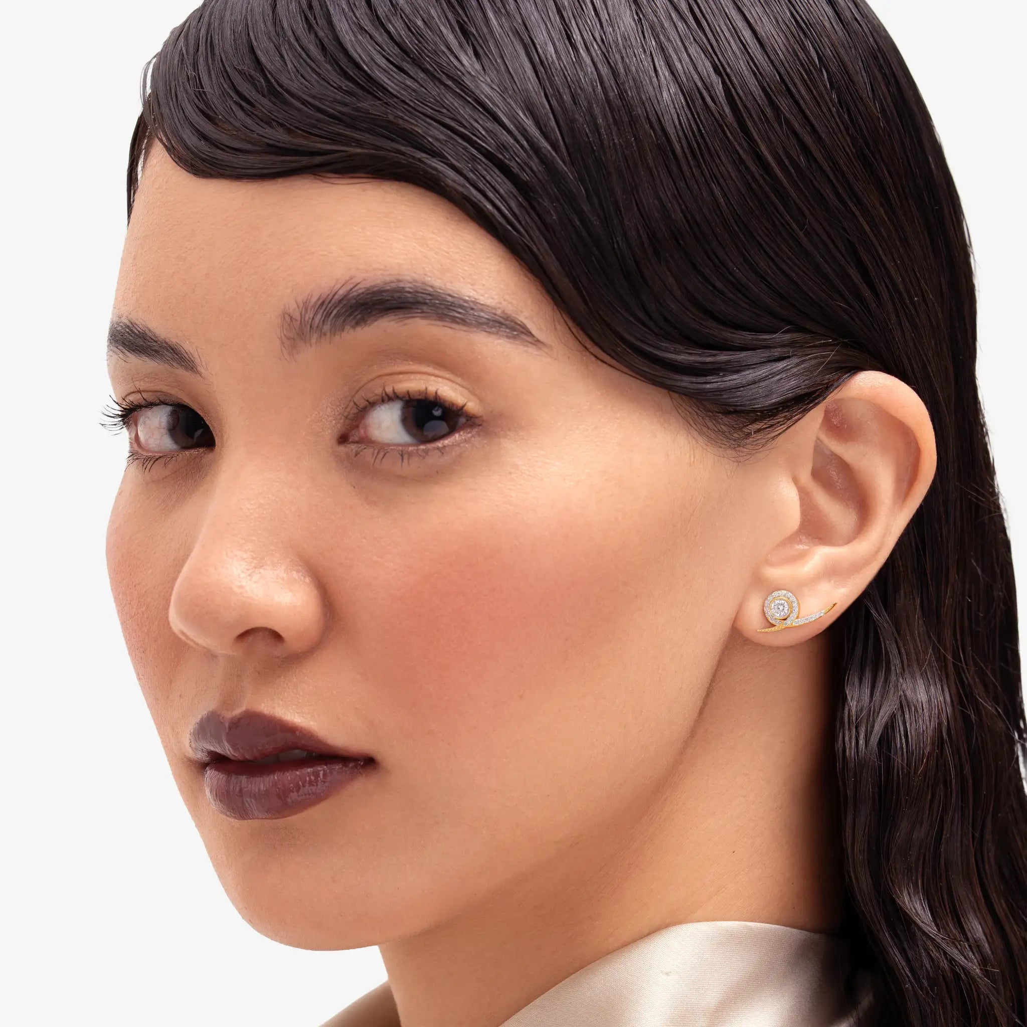 Snail Diamond Climber