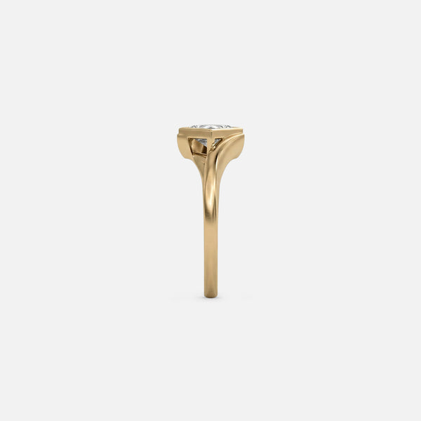 The Tilt Ring